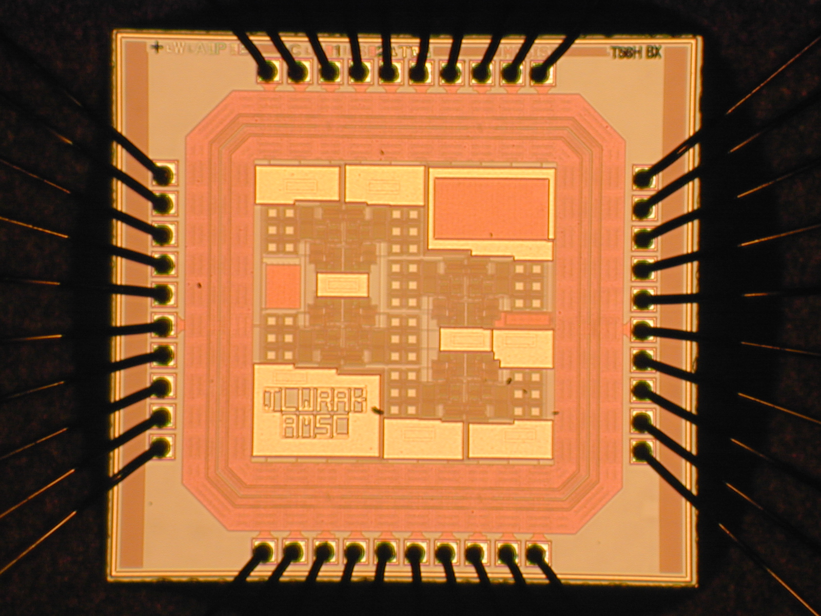 The first chip Jason Wardlaw and I had fabricated